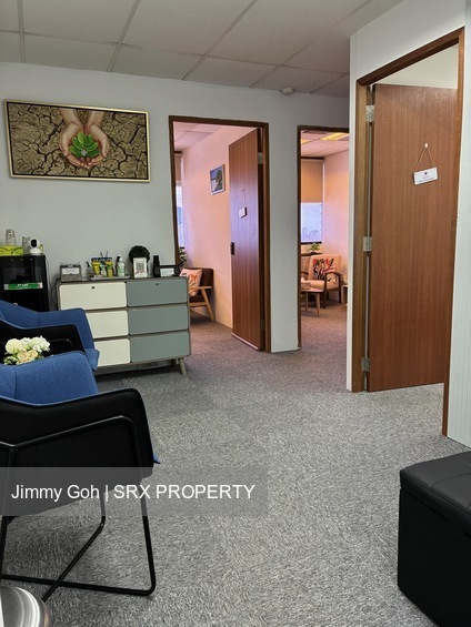 Sim Lim Tower (D8), Office #547374171